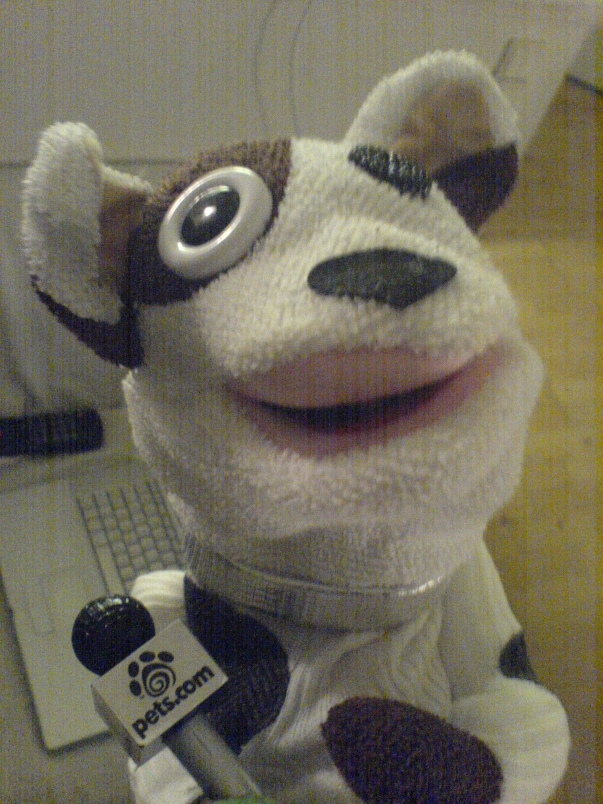 Pets.com sock puppet mascot, photographed February 2006