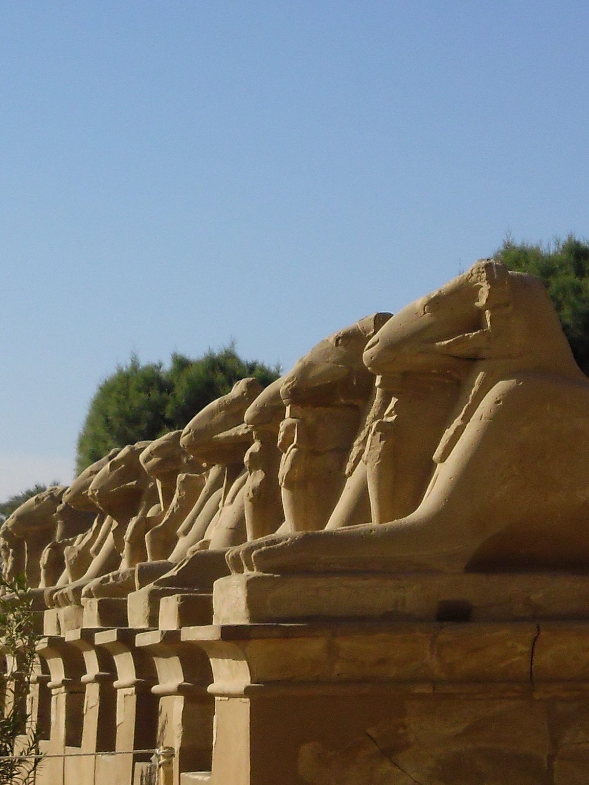 The avenue of ram-headed sphinxes (criosphinxes) at the Temple of Amun, Karnak