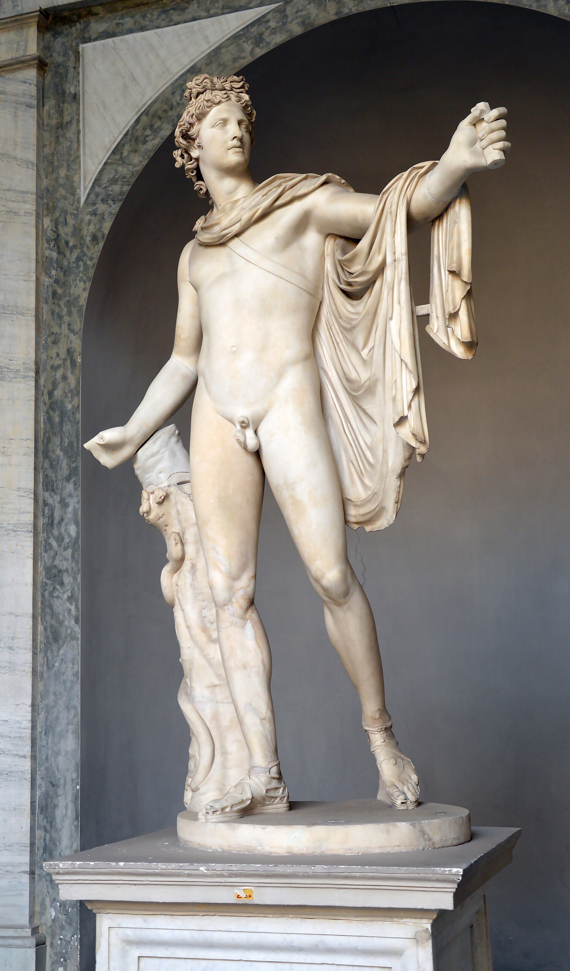 The Apollo Belvedere, a 2nd-century CE Roman marble of Apollo as an archer, in the Vatican Museums