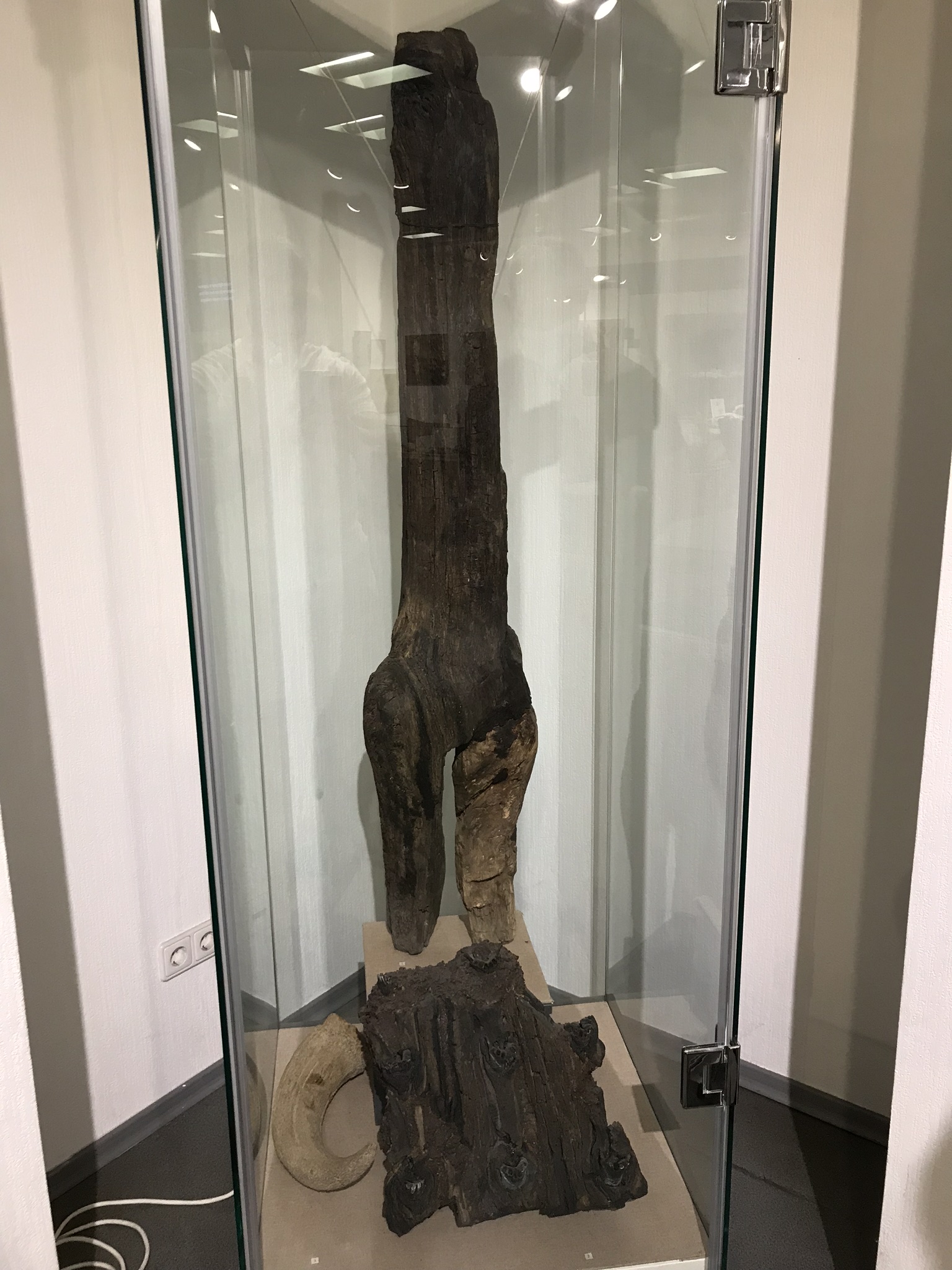 Slavic pagan artifacts including an Oak of Perun idol and aurochs horn (9th–10th century), Museum of History of Kyiv