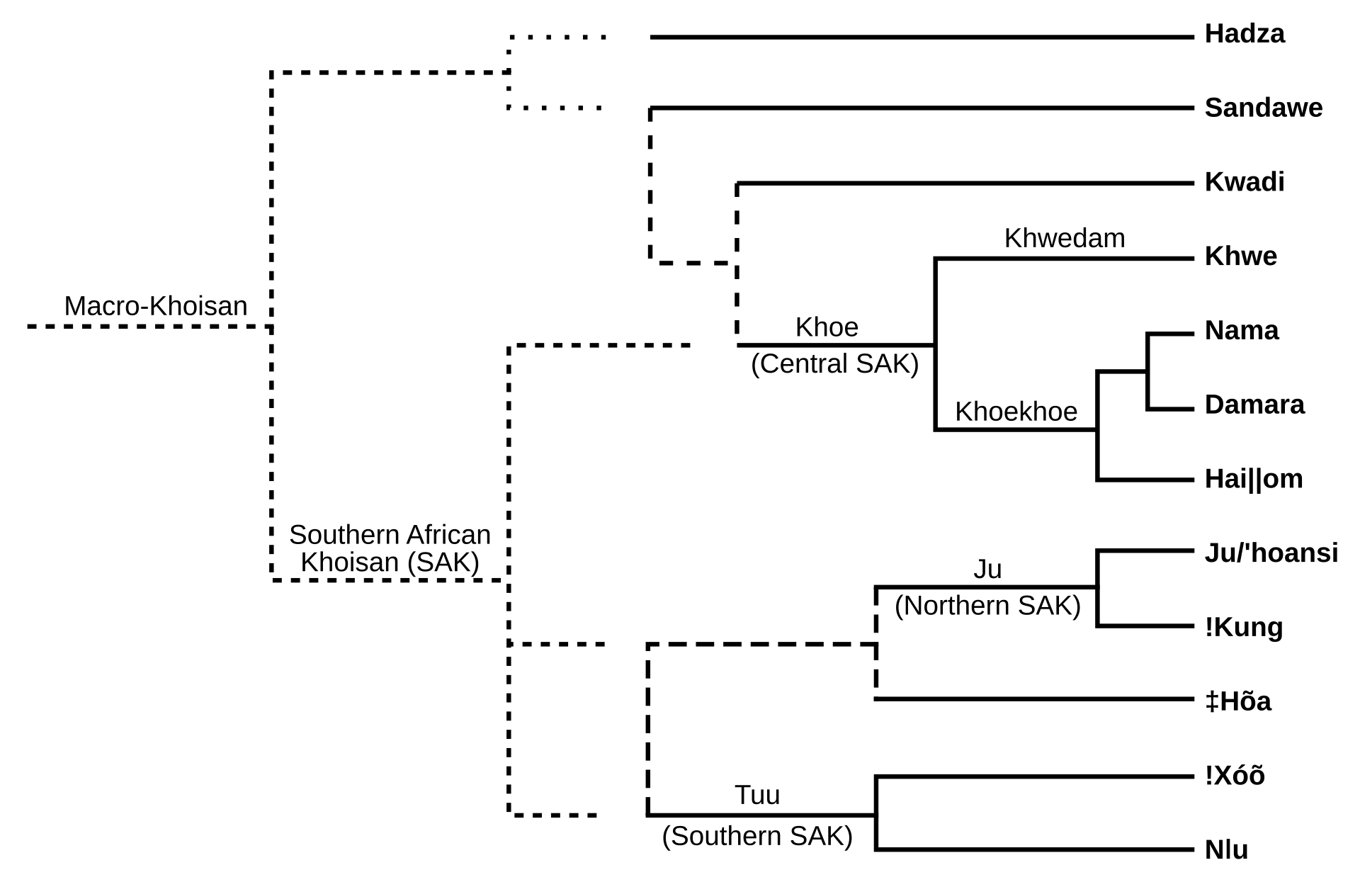 A diagram of the relationships among the southern African 'click' language families, showing Kwadi's position in the Khoe-Kwadi branch