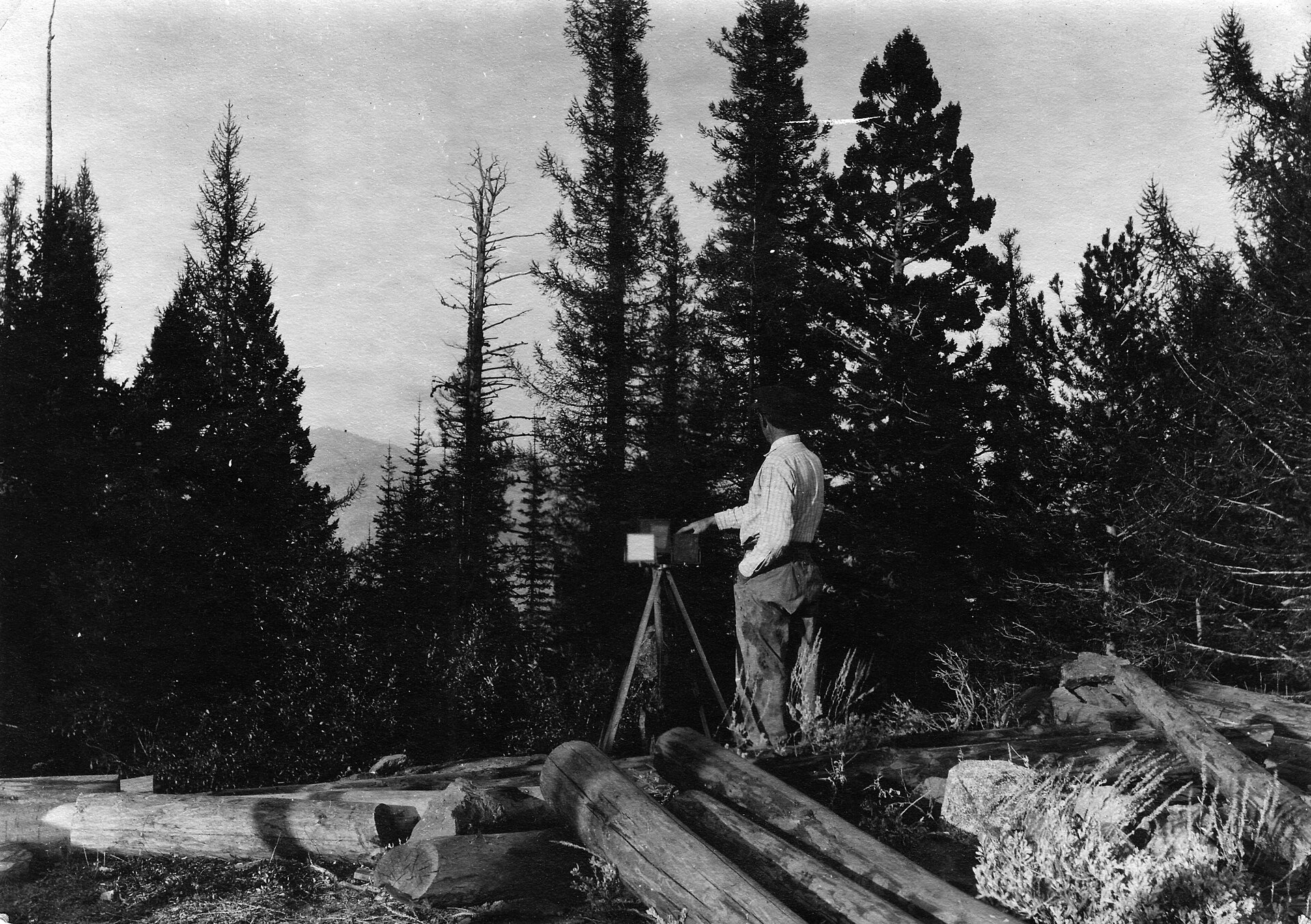 A U.S. Forest Service signaller using a heliograph, Umpqua National Forest, c.1910