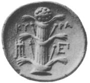 Depiction of the silphium plant, the extinct cash crop of ancient Cyrene