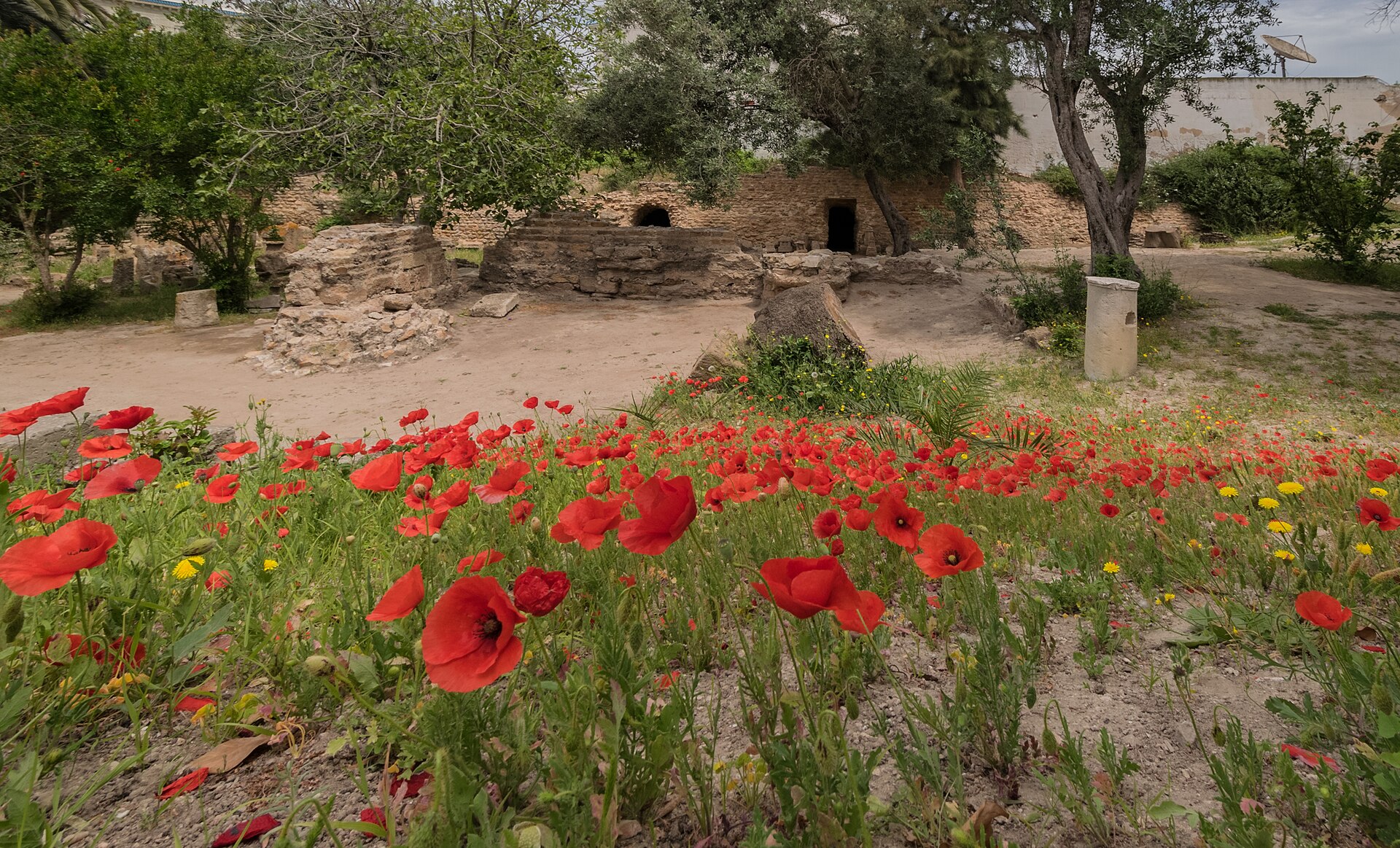 The Tophet of Carthage, a Punic burial precinct, Tunisia